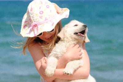 Relación entre Golden Retrievers y Niños