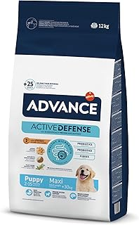 Alimentación de cachorro de Golden Retriever